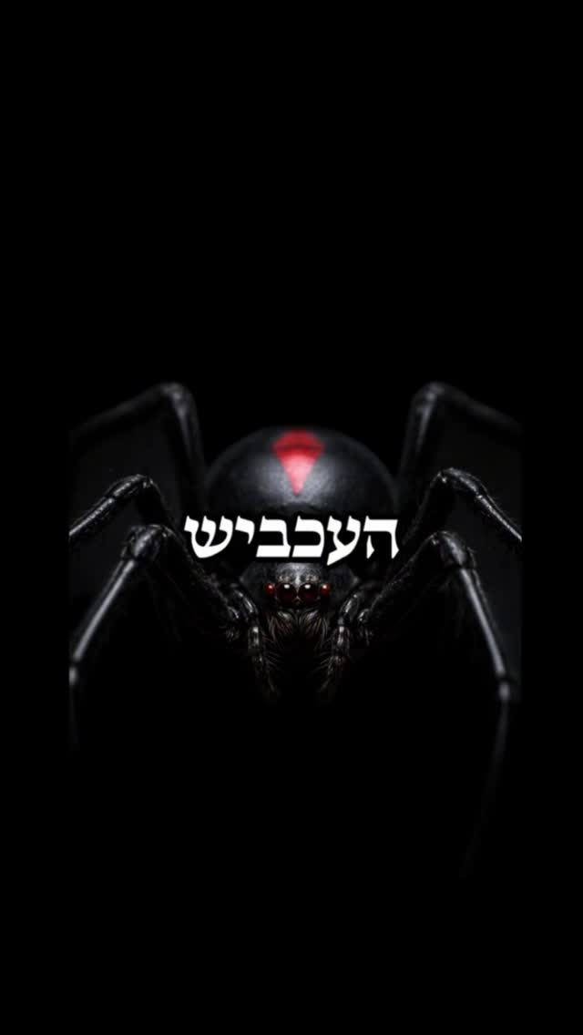 גם אם שוברים אותנו, תמיד אפשר לבנות מחדש 🕷️...