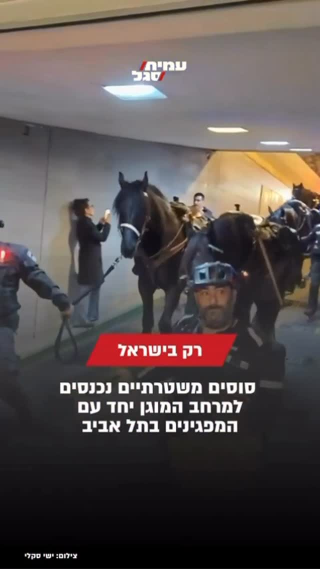 תיעוד לא שגרתי: סוסים של המשטרה נכנסים למרחב מוגן יחד עם...