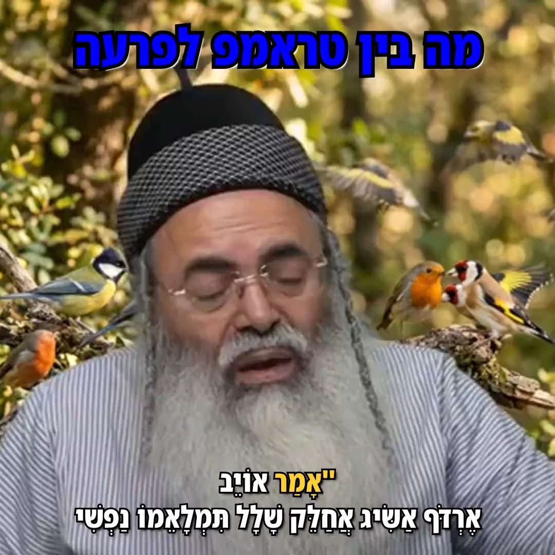 מה בין טראמפ לפרעה?