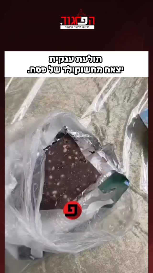 לקוח תיעד: תולעת ענקית יצאה מהשוקולד של פסח....