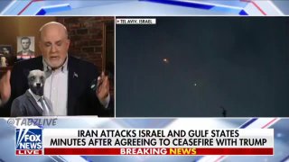 🇺🇸 מארק לוין, איש אמונו של טראמפ: ...