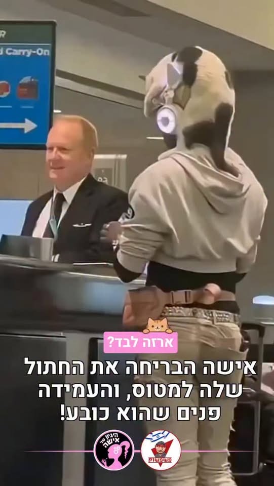 סרטון שהפך ויראלי ברשתות: אישה הבריחה את החתול שלה למטוס בנמל...