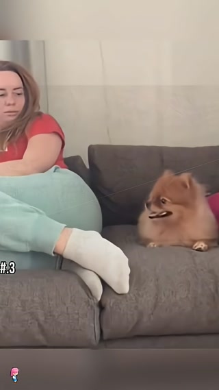 מתיחות הפלוצים...