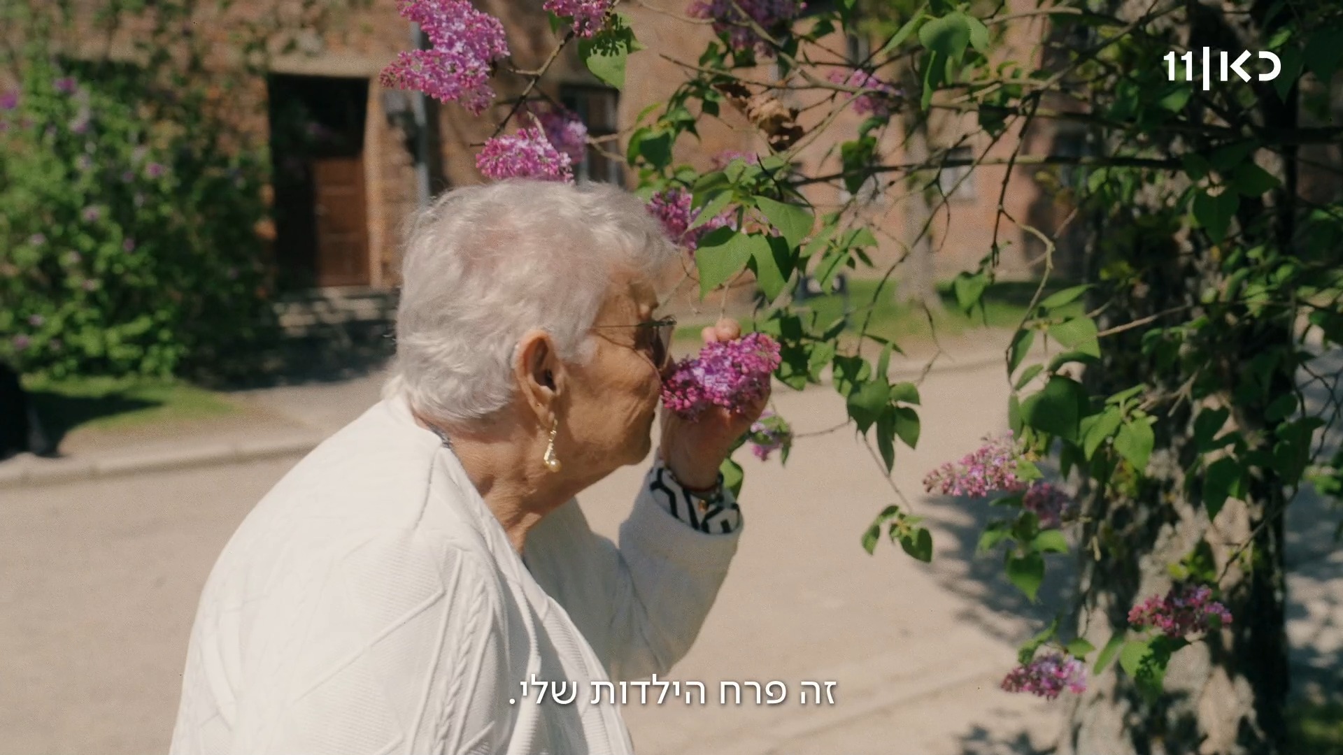 שרה חיכתה שנים להריח פרח לילך במחנה אושוויץ, כמו אלו שהיו לה...