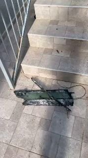כטבמ בשלומי בצפון...