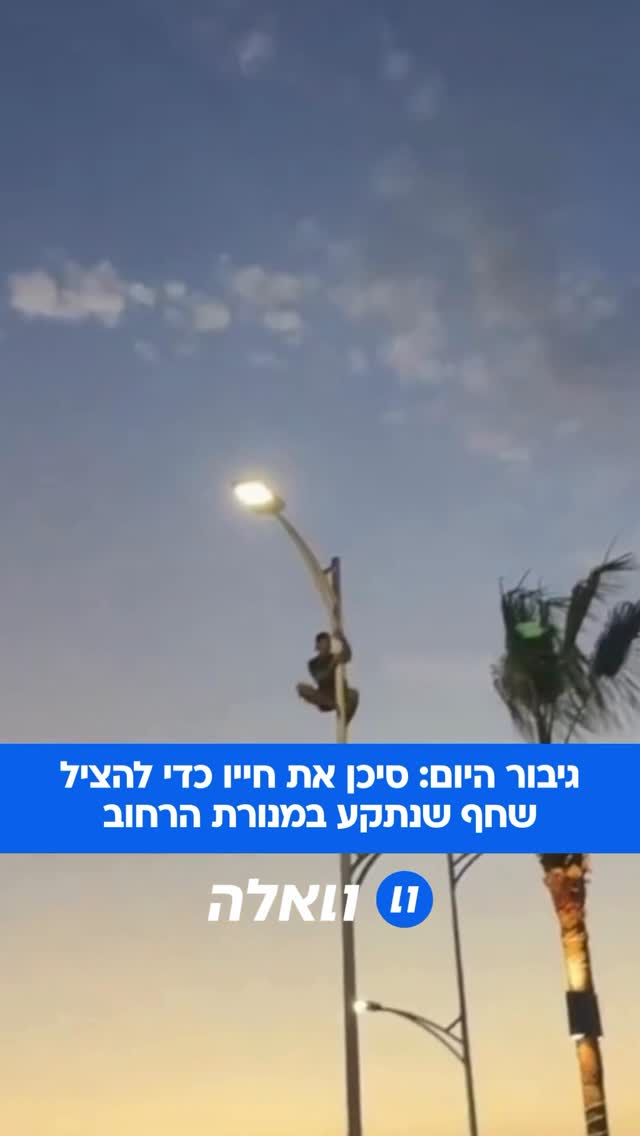 מבצע חילוץ בטיילת: רגע מרגש נצפה בטיילת החוף בקליפורניה, כאשר...