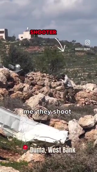 תיירות טרור:...