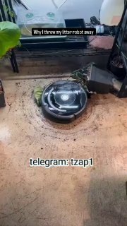למה זרקתי את שואב האבק הרובוטי שלי".......