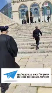 מלך המשיח של 2026 🤦‍♂️😅...