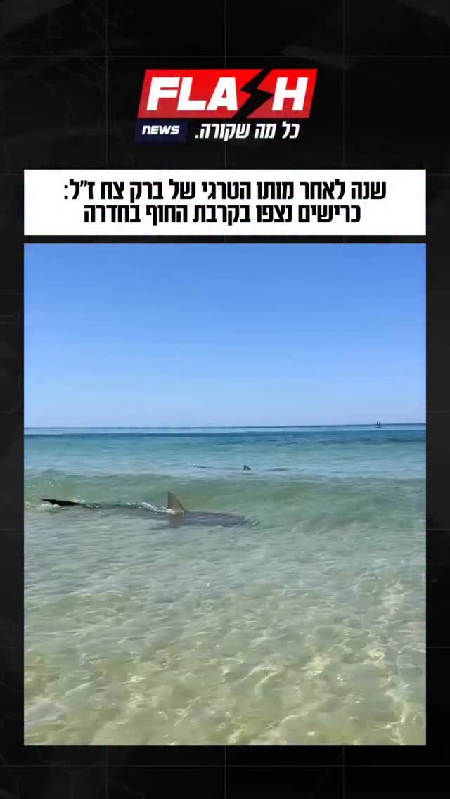 שנה לאחר מותו הטרגי של ברק צח ז”ל: כרישים נצפו בקרבת החוף...