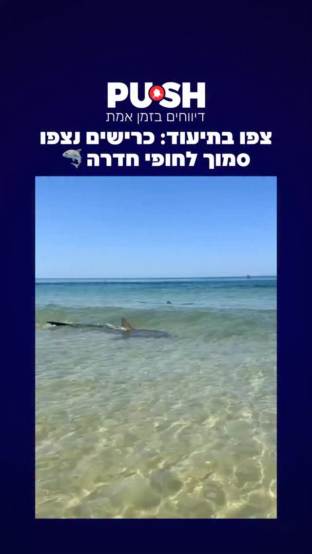 כמעט שנה לאחר האסון שבו נהרג ברק צח ז״ל: כרישים נצפו סמוך...