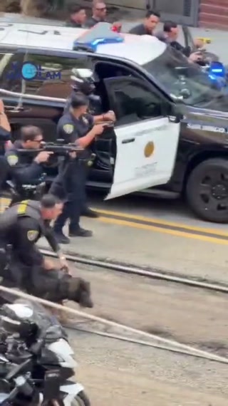 *צילומים דרמטיים:* משטרת סן דייגו משחררת כלב K9 ומשתמשת בכדורים...