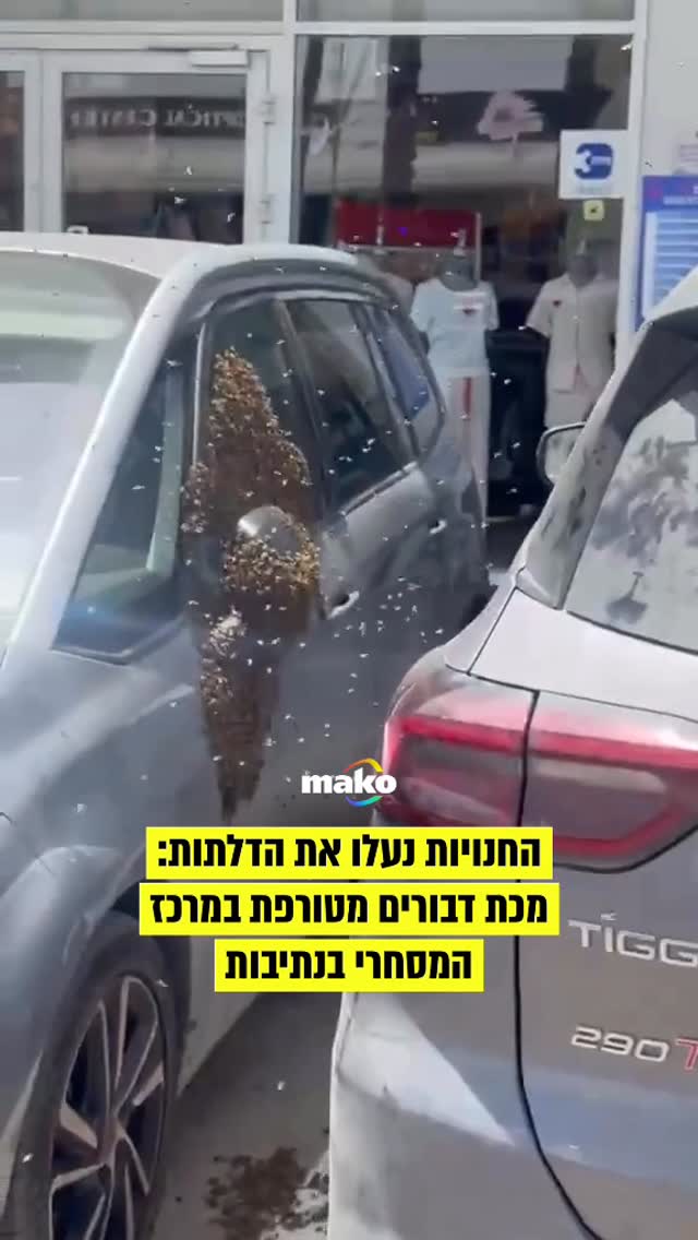 לא שמעו שפסח נגמר: מכת דבורים קיצונית במרכז המסחרי בנתיבות -...
