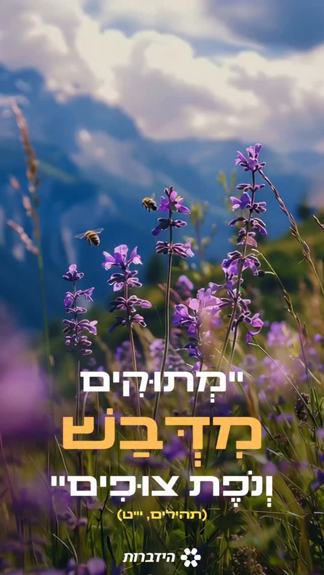 ​יש מתיקות שלא ניתן לקנות בשום חנות ❤️...