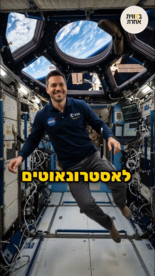חוק וולף של הנשמה 🧠💪...