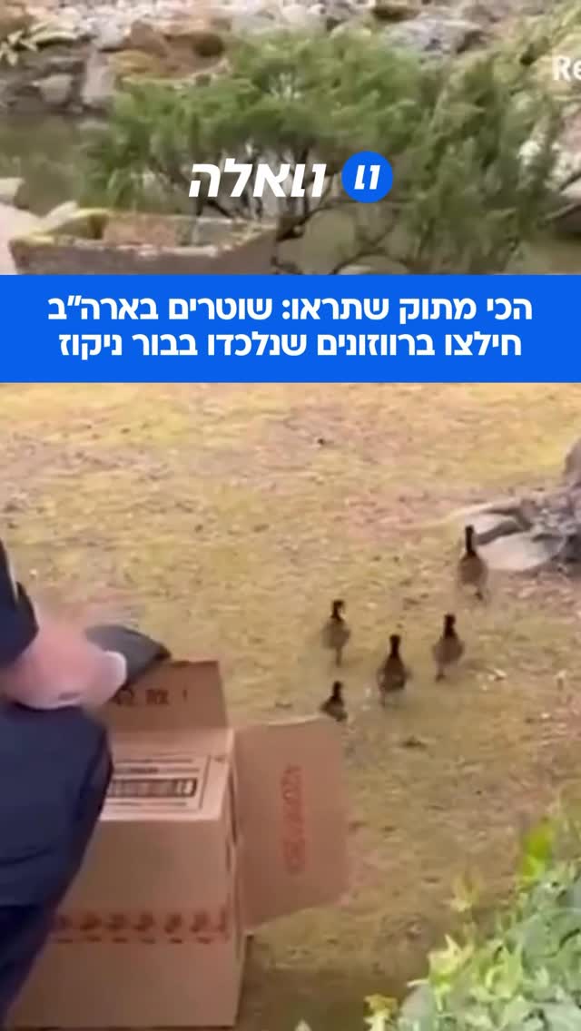 מבצע חילוץ חמוד במיוחד: שוטרים הוזעקו לזירה לאחר שחמישה...