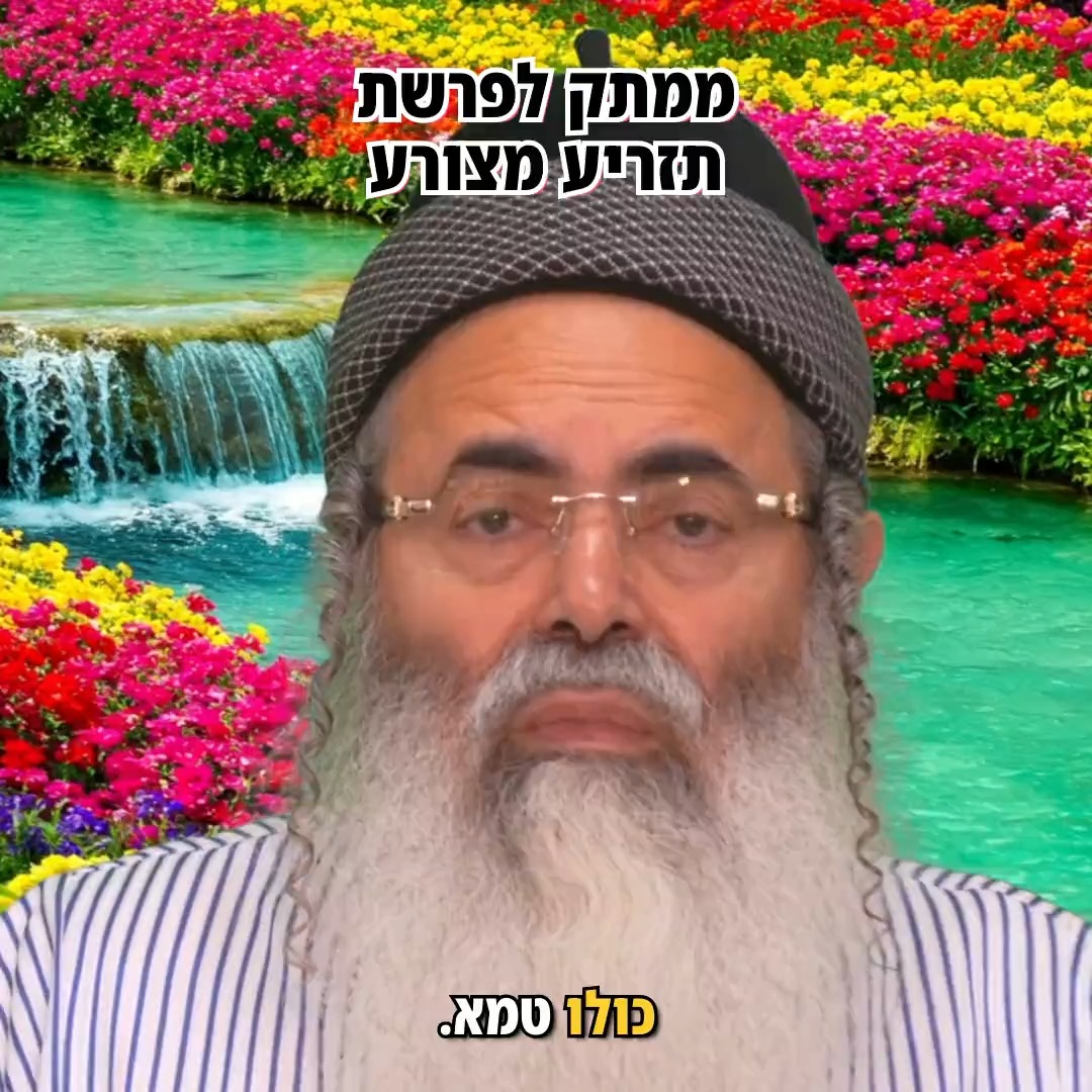ממתק לפרשת תזריע מצורע.
