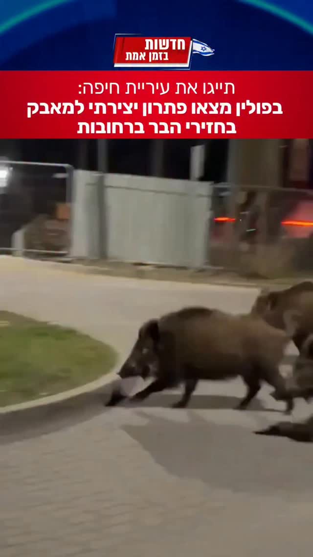תייגו את עיריית חיפה:...