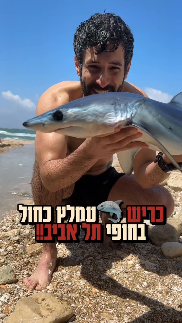 אחת התצפיות הנדירות בחופי ישראל - מסתבר שגם העמלצים הכחולים...