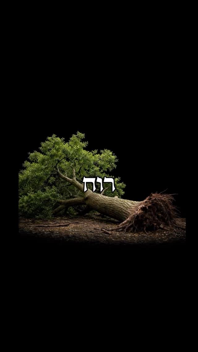 חבקו את הקשיים, הם מה שבונים אתכם 💨...