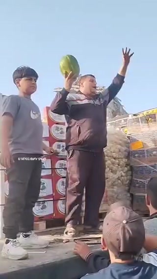 על הסכין: הגיעו אבטיחים לעזה...