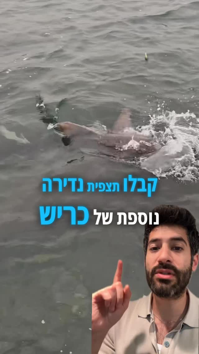 ⁨ טריפה של כריש על קו החוף ! במהלך החג בעוד יום דייג שגרתי יצא...