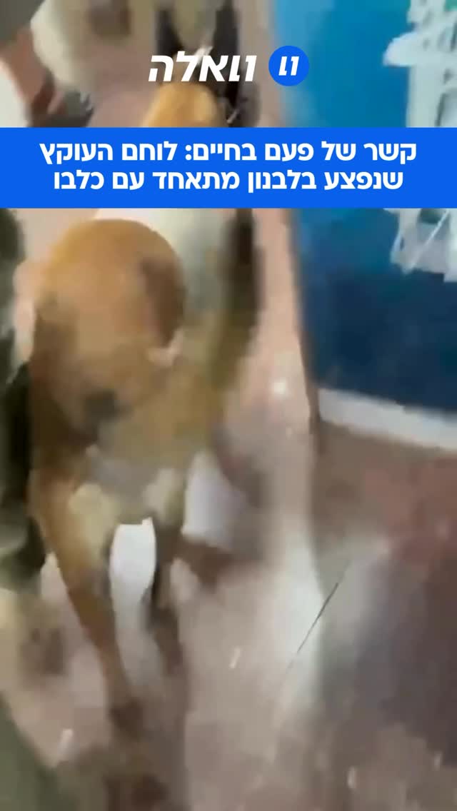 המפגש שלא משאיר עין יבשה: ט׳, לוחם ביחידת עוקץ, נפצע בחודש...