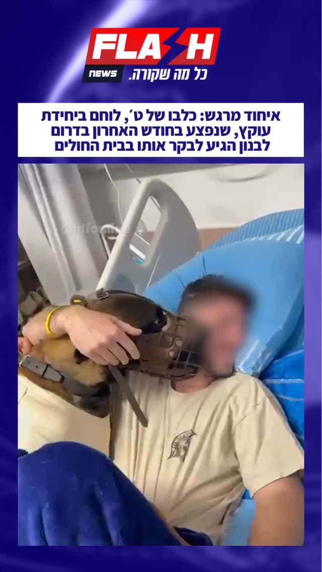 ⁨ איחוד מרגש: כלבו של ט׳, לוחם ביחידת עוקץ, שנפצע בחודש האחרון...