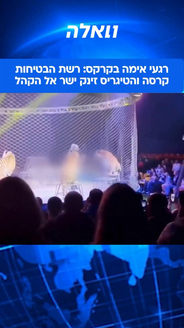 מה שהיה אמור להיות בילוי משפחתי תמים בקרקס הפך אתמול (ראשון)...