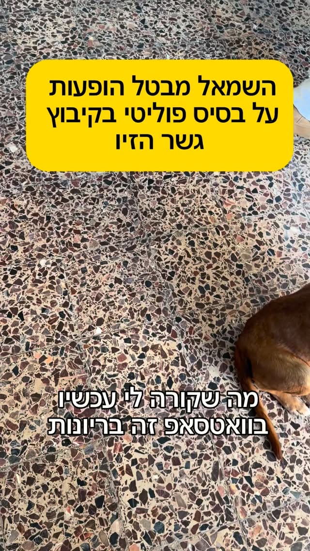 קפלן הליברלים מבטלים הופעה לקיבוץ גשר הזיו בגלל פוליטיקה...