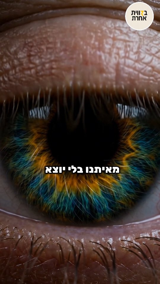 הפוטושופ של המוח 🔮 האירוע הוא רק חצי מהחוויה - החצי השני הוא...