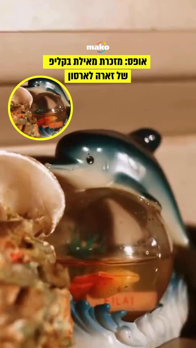הנה משהו שלא הייתם מצפים לראות בסרטון של זמרת אנטי-ישראלית...