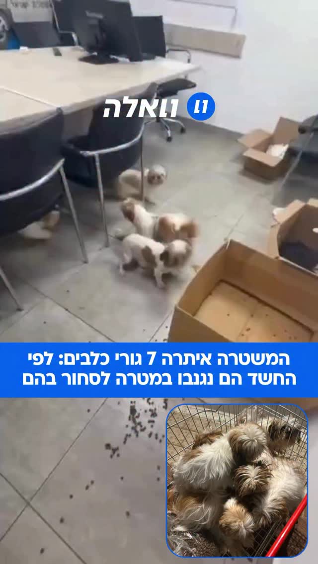 שוטרי תחנת מסובים פתחו הלילה בחקירה עם קבלת מידע על חשד...