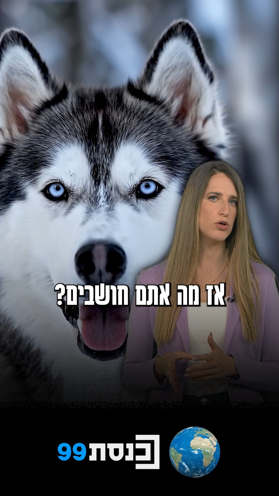 חוקים בעולם שלא ידעתם על קיומם | חוק דקסטר בפלורידה 🇺🇸🐶 -...