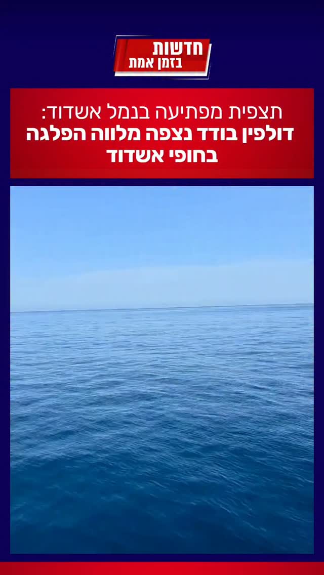 ליווי חמוד לספינה ששטה ליד אשדוד...