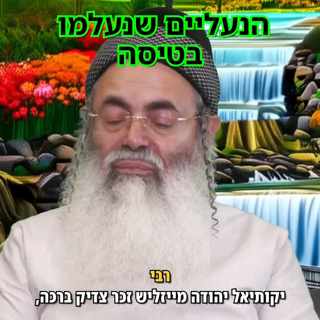 הנעליים שנעלמו בטיסה.