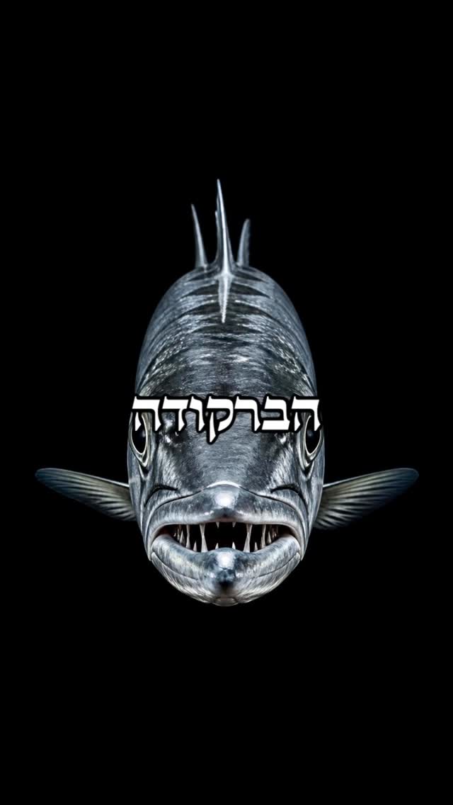 אפקט הברקודה 🐟...