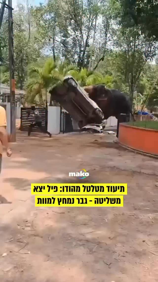 רגעי אימה תועדו במדינת קרלה, דרום הודו, שם פיל עצום השתחרר...