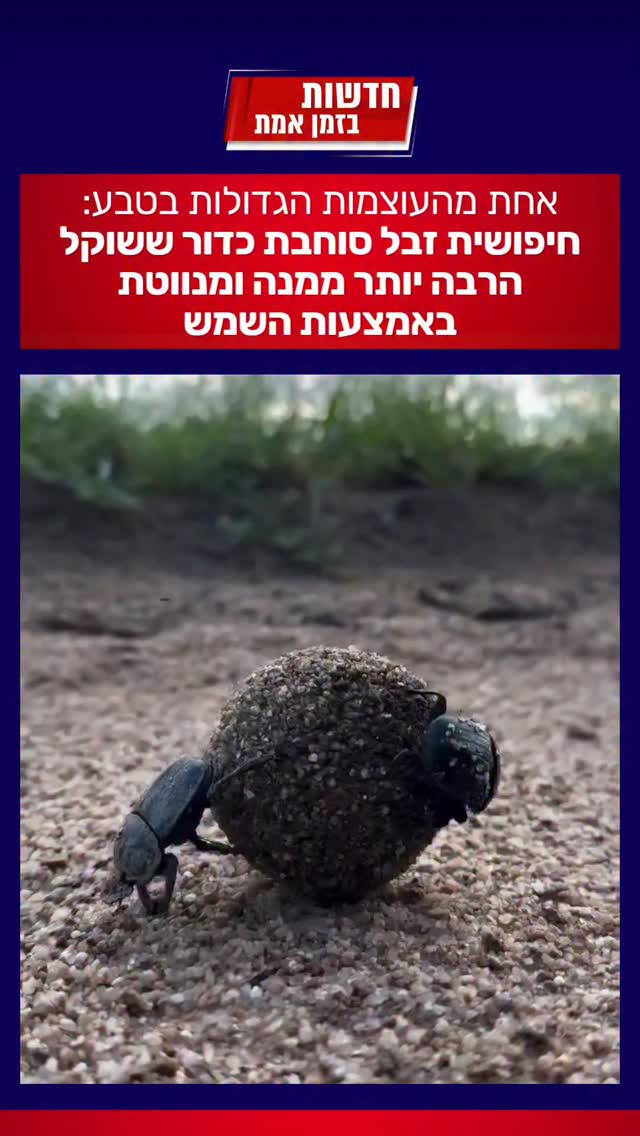 תופעת טבע מדהימה...