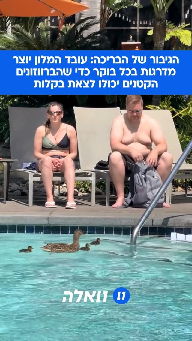 הכי מתוק שיש: עובד מלון בסן-דייגו מרטיב מגבת מדי יום כדי ליצור...