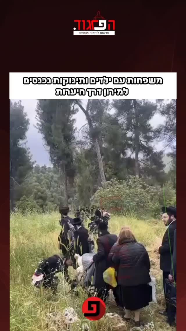 משפחות עם ילדים ותינוקות נכנסים למירון דרך היערות...