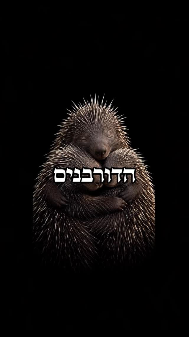 לחבק, למרות הפגמים ❤️...