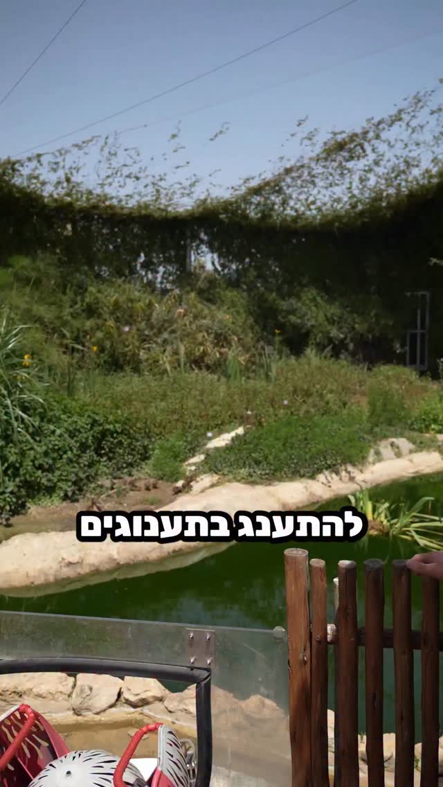 אמא זו כנסת ישראל - ה שומר עלינו !