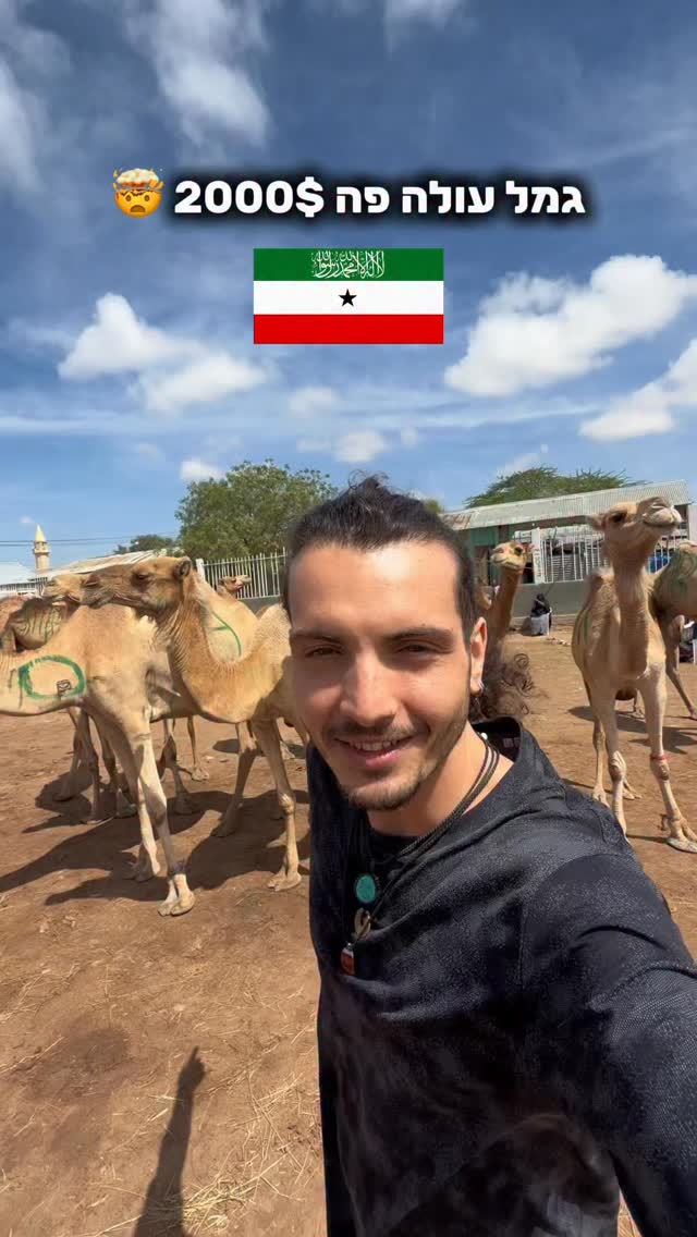 את הביקור בסומלילנד סיימתי בשוק הכי גדול במדינה...
