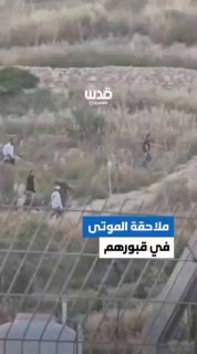 מתנחלים וחיילים אילצו פלסטינים להוציא גופה מהקבר - ולהעבירה...