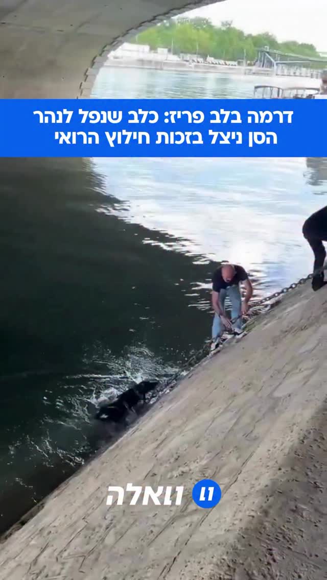 כלב שנפל לנהר הסן עורר בהלה גדולה. בעליו ומספר עוברי אורח ניסו...