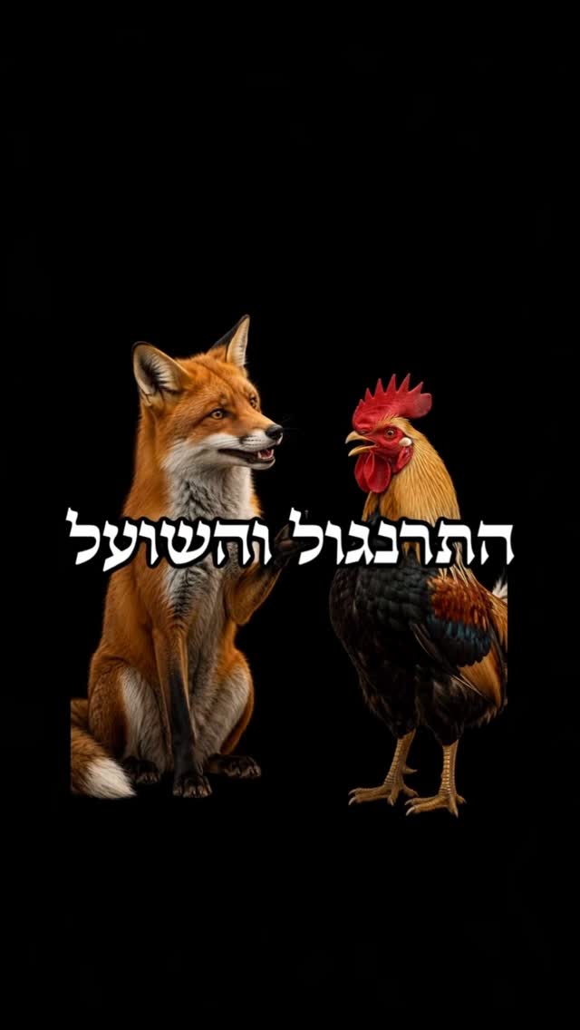 התרנגול והשועל 🐓🦊...