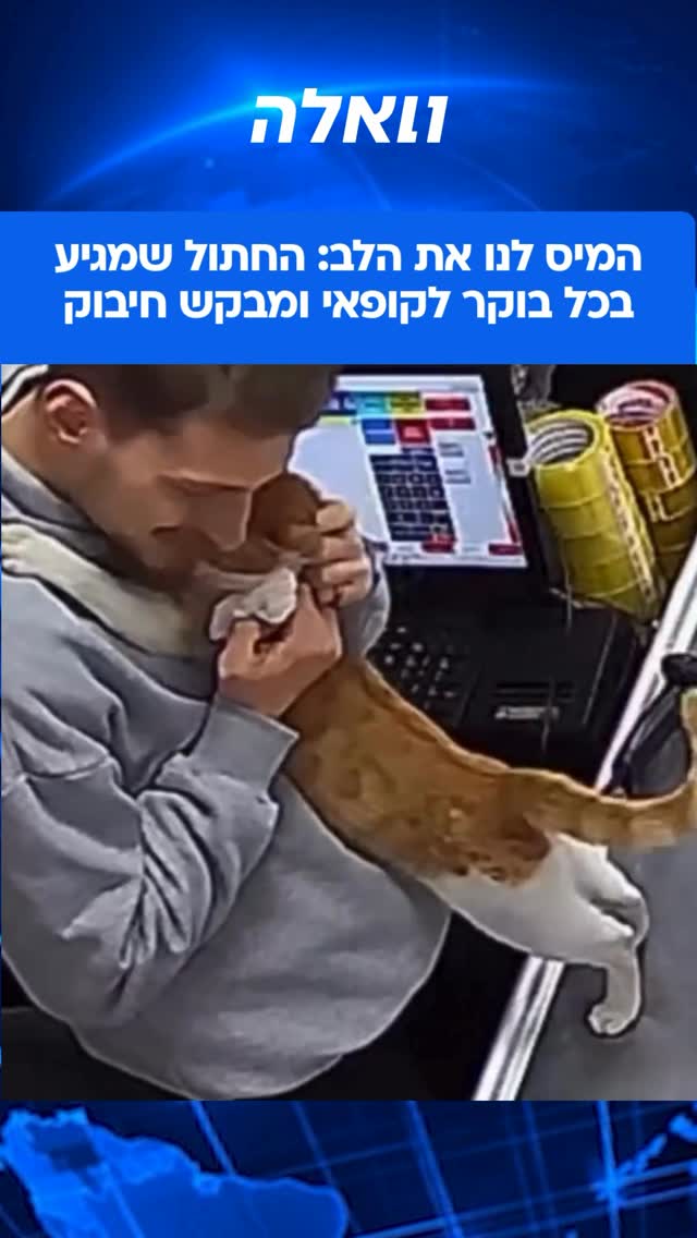 סרטון מתוק במיוחד שרץ ברשתות מציג חתול רחוב בטורקיה, שסיגל...