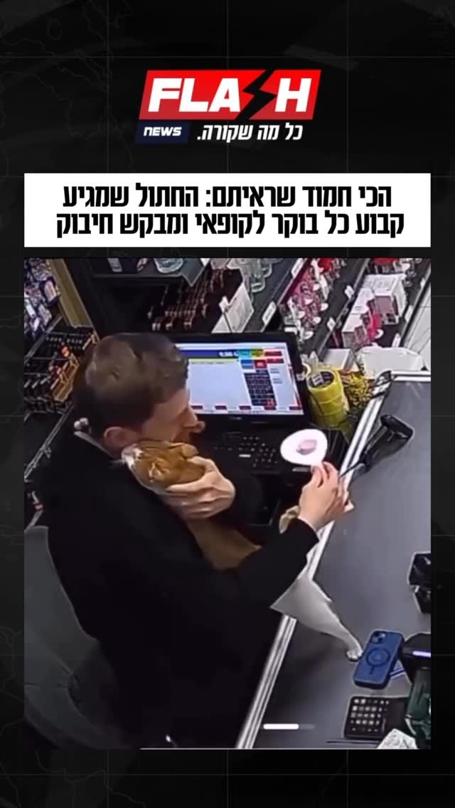 שבר את הרשת | הכי חמוד שראיתם: החתול שמגיע קבוע כל בוקר לקופאי...