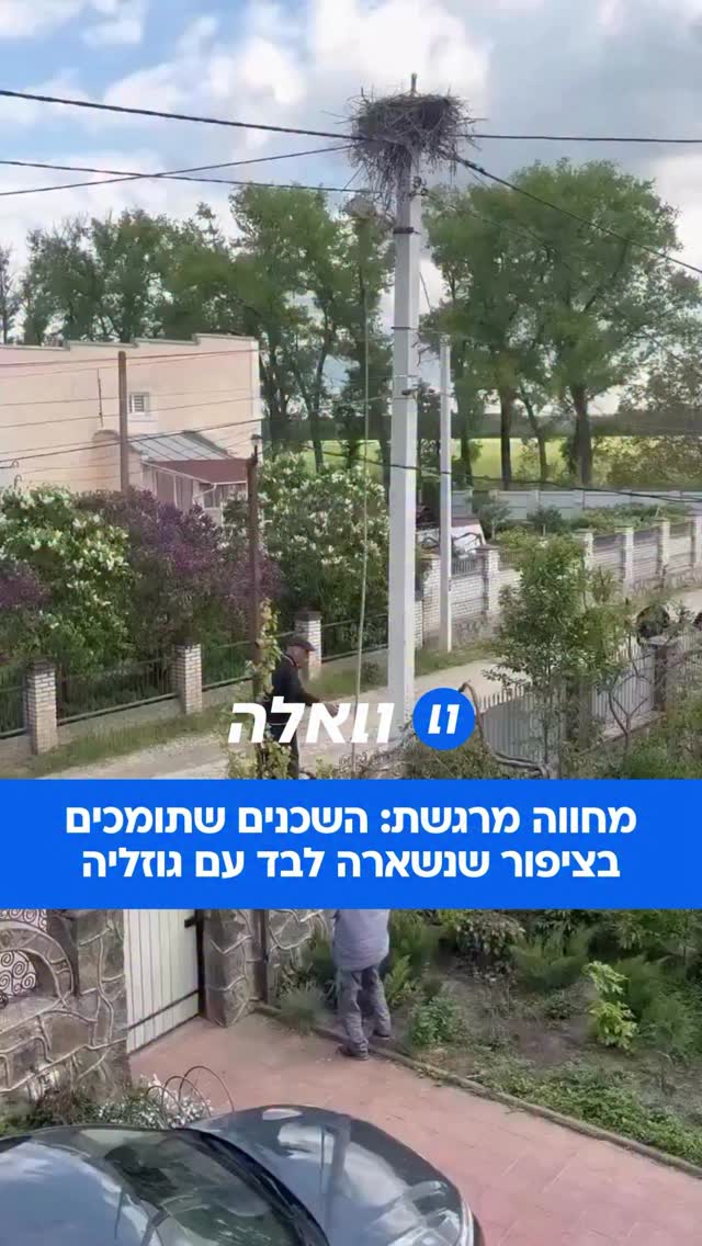 אנושיות במיטבה: באחד הכפרים באוקראינה, זכר מת והשאיר את...